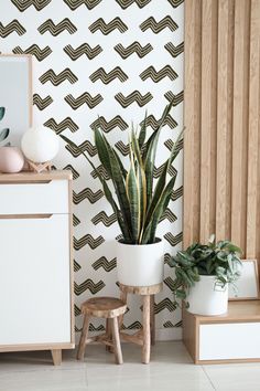 a plant in a white pot next to a wooden dresser and wallpaper with geometric designs