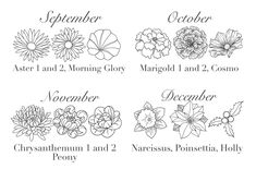 an image of flowers and names for the month of november, december, november, october