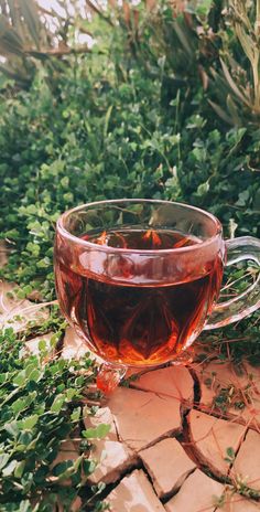 a glass cup filled with tea sitting on top of a tiled floor next to green plants