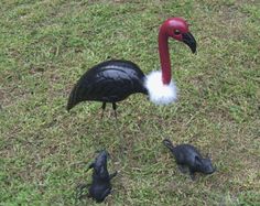 a flock of birds standing on top of a lush green field