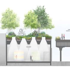 an architectural drawing shows the various stages of planting and how they are used to grow trees