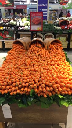 an arrangement of carrots and lettuce on display in a grocery store's produce section