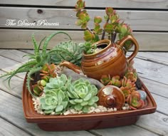 there are succulents and other plants in the tray on the wooden table