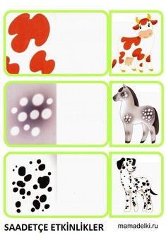 four different types of animals are shown in this graphic above the image is an illustration of dog, horse, and giraffe