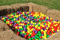 there is a large amount of balls in the hay