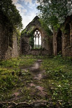 an old ruin with ivy growing on the ground and a window in the center surrounded by trees