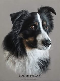 a painting of a black and white dog