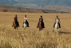 four people are riding horses in an open field with mountains in the backgroud