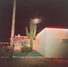 a large cactus in front of a house at night with the moon shining behind it