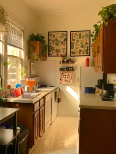 the kitchen is clean and ready for us to use in the day time as much as possible