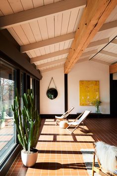 the sun shines brightly in this room with chairs and cactuses on the floor