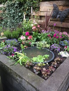 a garden filled with lots of different types of flowers