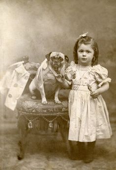 Old Pug, Pug Photos, Fu Dog, Pug Pictures, A Pug, Purebred Dogs, Dog Rules, Dogs And Kids