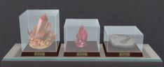 three glass cases with different types of items in them