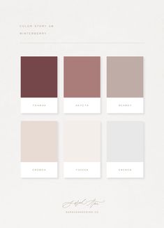 four different shades of brown, pink and grey on white paper with the words color story written