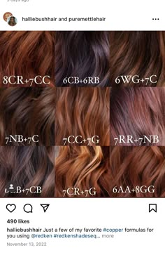 Shades Eq Red Violet Formula, Carmel And Red Lowlights On Brown Hair, Redken Cherry Cola Hair Color, Copper Brown Formula, Copper Red Hair Colour, Auburn Hair Formula, Copper Formula, Redken Color Formulas