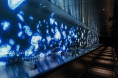 an image of jellyfishs on display in a museum or aquarium with stairs leading up to them