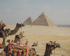 two camels and some pyramids in the desert