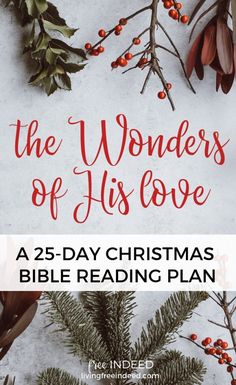 the wonders of his love christmas bible reading plan with holly branches, berries and mist