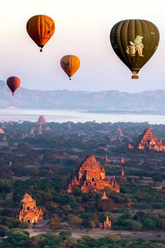 several hot air balloons flying in the sky over some trees and land with mountains in the background