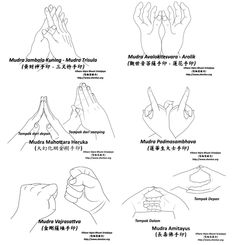 instructions for hand gestures in different languages