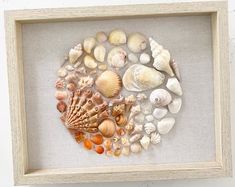 a shadow box frame with sea shells in it