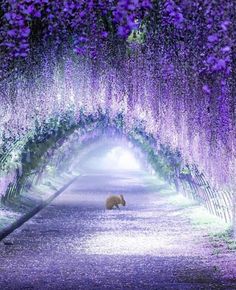 an animal that is standing in the middle of a tunnel with purple flowers on it