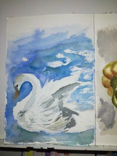 two watercolor paintings of swans in the water and one with an apple on it