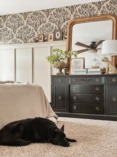 a black dog laying on the floor in front of a mirror and dresser with a clock above it