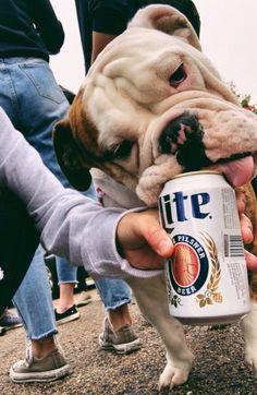 a person holding a can of beer while petting a dog