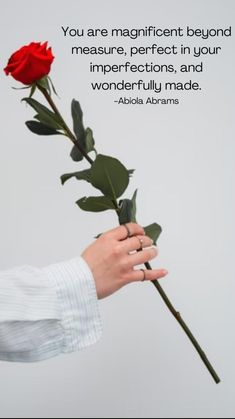 a person holding a red rose in their hand with a quote about love and affection