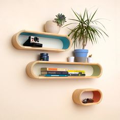 three shelves with books and plants on them