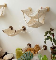 there are two hammocks hanging on the wall with cats sleeping in them,