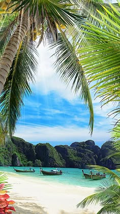 the sun shines brightly behind a palm tree and over water huts on stilts