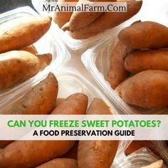 some sweet potatoes in plastic containers with the words can you freeze sweet potatoes? a food presentation guide