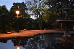 a lamp post next to a small pond at night with trees in the back ground