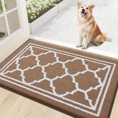 a dog sitting on the floor next to a door mat