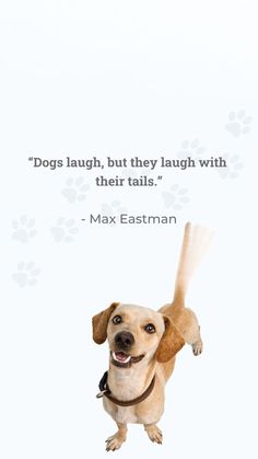 a dog with its paw in the air and a quote above it that says dogs laugh, but they laugh with their tails