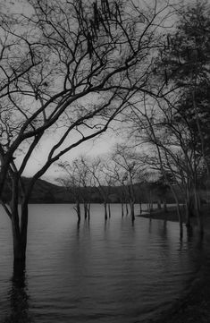 black and white photo of flooded area with trees in the foreground, dark sky above