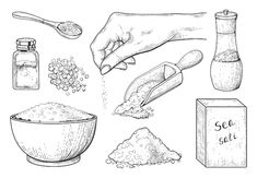 hand drawn illustration of spices and salt