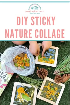 the diy sticky nature collage with pine cones and flowers in it on grass