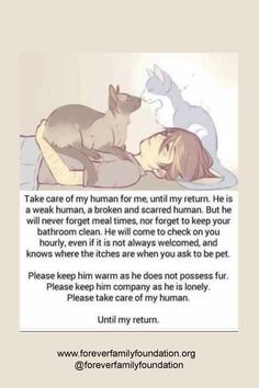 What happens when animals die? Will we see our animals again? Do our deceased animals know our current animals. How to deal with death of an animal. How to deal with death of my dog? How to deal with death of an animal. How to deal with death of my cat? Do animals have an afterlife? Do animals go to heaven? Cat Comforting Human, Cat Quotes, Cat Care, Pet Loss, Animal Quotes, Crazy Cat Lady, Beautiful Cats, Crazy Cats