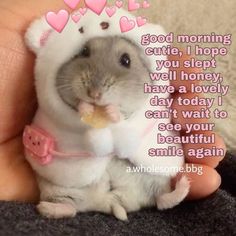 a hamster in a bunny suit with a message on it that says, i love you