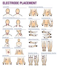 Knees Exercises, Body Points