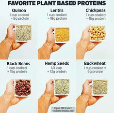 a hand holding a bowl filled with different types of seeds and grains, labeled in the words favorite plant based proteins