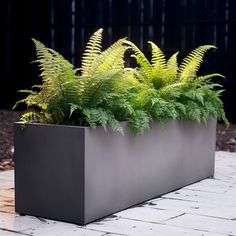 a planter filled with lots of green plants