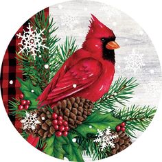 a red cardinal sitting on top of a pine tree with snowflakes and cones