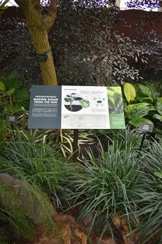 a display in a garden with plants and rocks on the ground next to it is an information sign