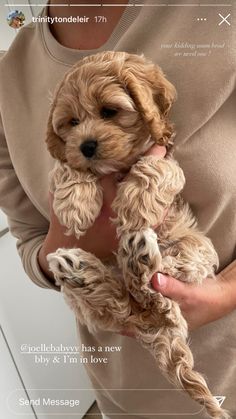 a person holding a small brown dog in their hands and the caption says, congratulations