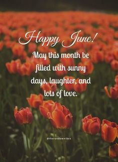 a field full of red tulips with the words, happy june may this month be filled with sunny days, laughter, and lots of love